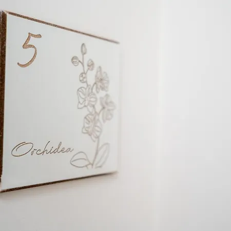 Bed & Breakfast The Garden 3*